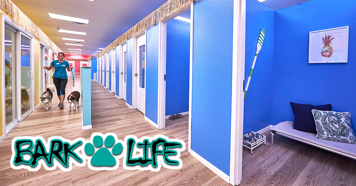 St. Pete Dog Boarding at Bark Life | Take Tour & Get Free Stay