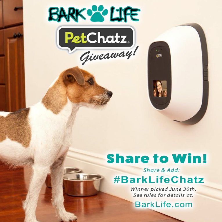 Bark Life Pet Chatz Promo