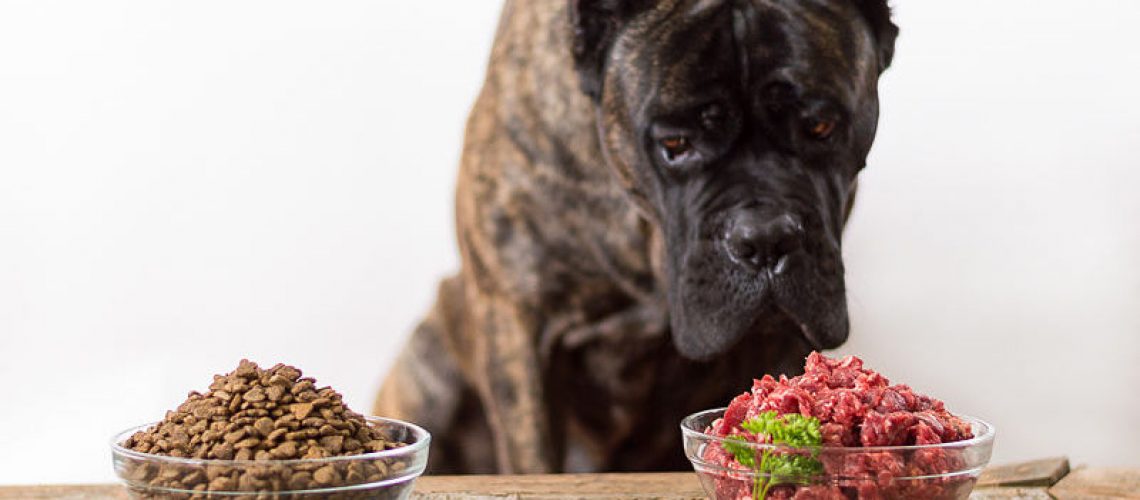 HOW-TO-transition-your-dog-to-a-raw-diet.-5-options-to-choose-from-rawfeeding-800x400